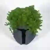 Cachepot The Mandalorian Star Wars