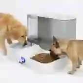 Comedouro/Bebedouro Duplo Automático Premium Pets Branco