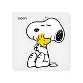 Mini Luminária Box Snoopy and Woodstock