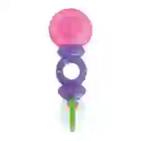 Mordedor Chocalho Rattle & Teethe Bright Starts Texturizado e Livre de BPA