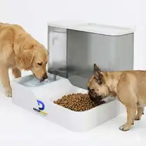 Comedouro/Bebedouro Duplo Automático Premium Pets Branco