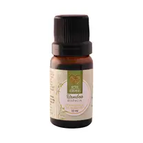 Essência Aromática Bamboo 10ml Love Aromas para Difusor Elétrico
