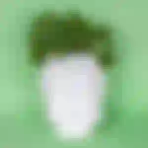Cachepot Mestre Buda Branco