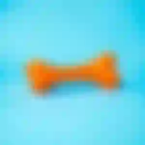 Brinquedo para Pets - Ossinho