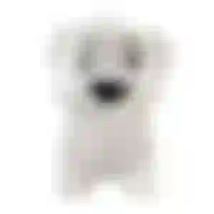 Luminária Cachorrinho