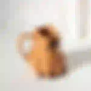 Capineca Capivara