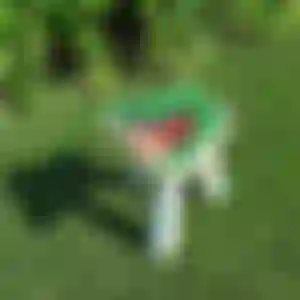 Mini Banqueta Dinossauro