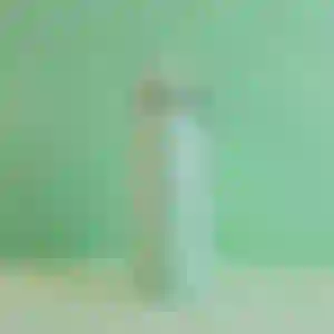Garrafa com Alça e Bico 570ml Parede Dupla Verde