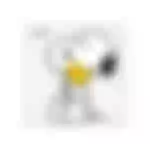 Mini Luminária Box Snoopy and Woodstock