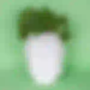Cachepot Mestre Buda Branco.  