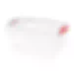Caixa Organizadora Retangular com Tampa 20L Transparente - Mood