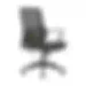 Cadeira de Escritório Diretor Crown Tela Mesh Apoio de Lombar