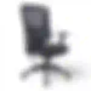 Cadeira de Escritório Diretor Titan Mesh Apoio de Lombar Sistema Relax