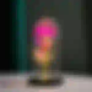 Luminária de Rosa com Cupula de Vidro Luzes De Led Rosa