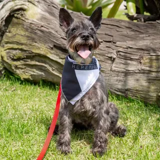 Lenco Para Pet P - Natural Colors