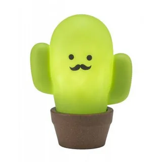 Luminária Cacto com Vaso