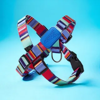 Coleira Peitoral Ajustável em X Raios e Listras Azul - P