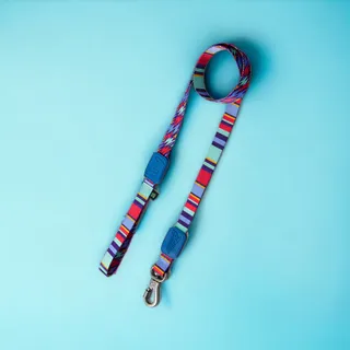 Guia Pet com Mosquetão 360° Raios e Listras Azul - P