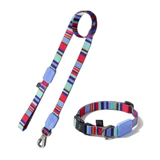 Coleira Ajustável e Guia para Cães Raios e Listras Violeta - M