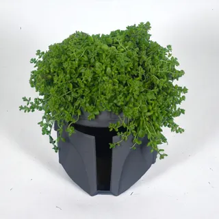 Cachepot The Mandalorian Star Wars