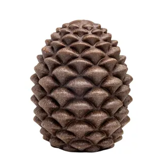 Pinhau: Brinquedo para Pet com Compartimento para Petiscos