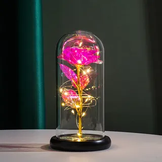 Luminária de Rosa com Cupula de Vidro Luzes De Led Rosa